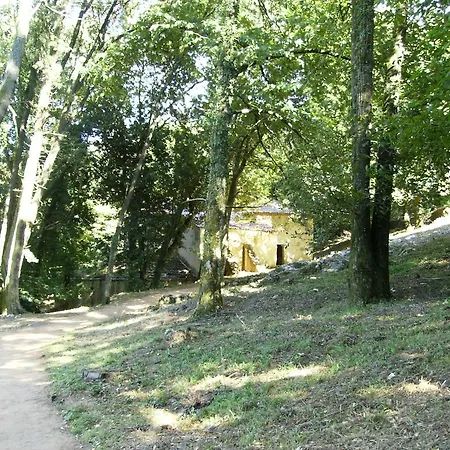 Casa Do Avo In Montejunto Gospodarstwo wiejskie *